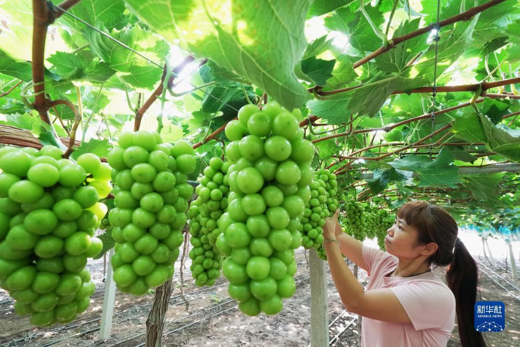 免费注册送58元体验金